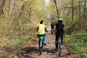 Forest Road and Bratislava Iron Curtain Bike Tour, by Authentic Slovakia