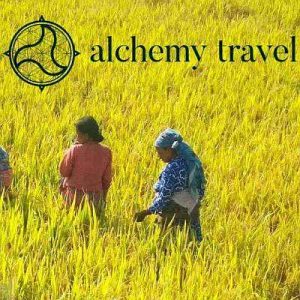 Alchemy Travel