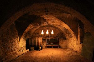 Wine cellar in Svaty Jur