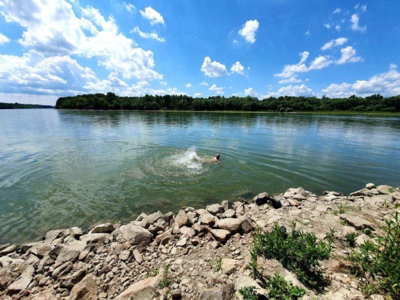 Swimming in Danube Bratislava