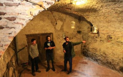 Carpathian Wine Tour Cellar