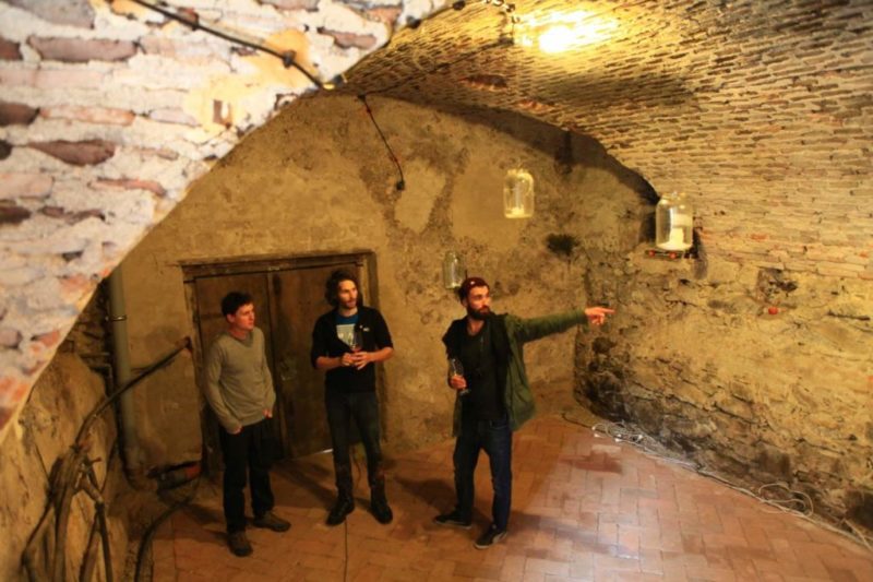 Carpathian Wine Tour Cellar