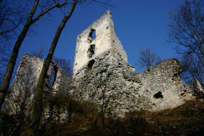 guided tour castles