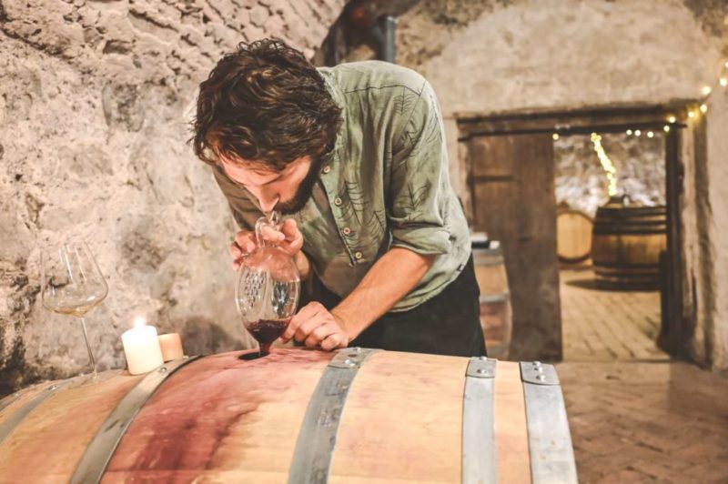 wine maker in wine cellar carpathians
